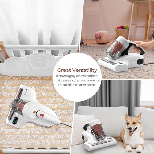 500W 13Kpa Corded Mattress Vacuum Cleaner J13736