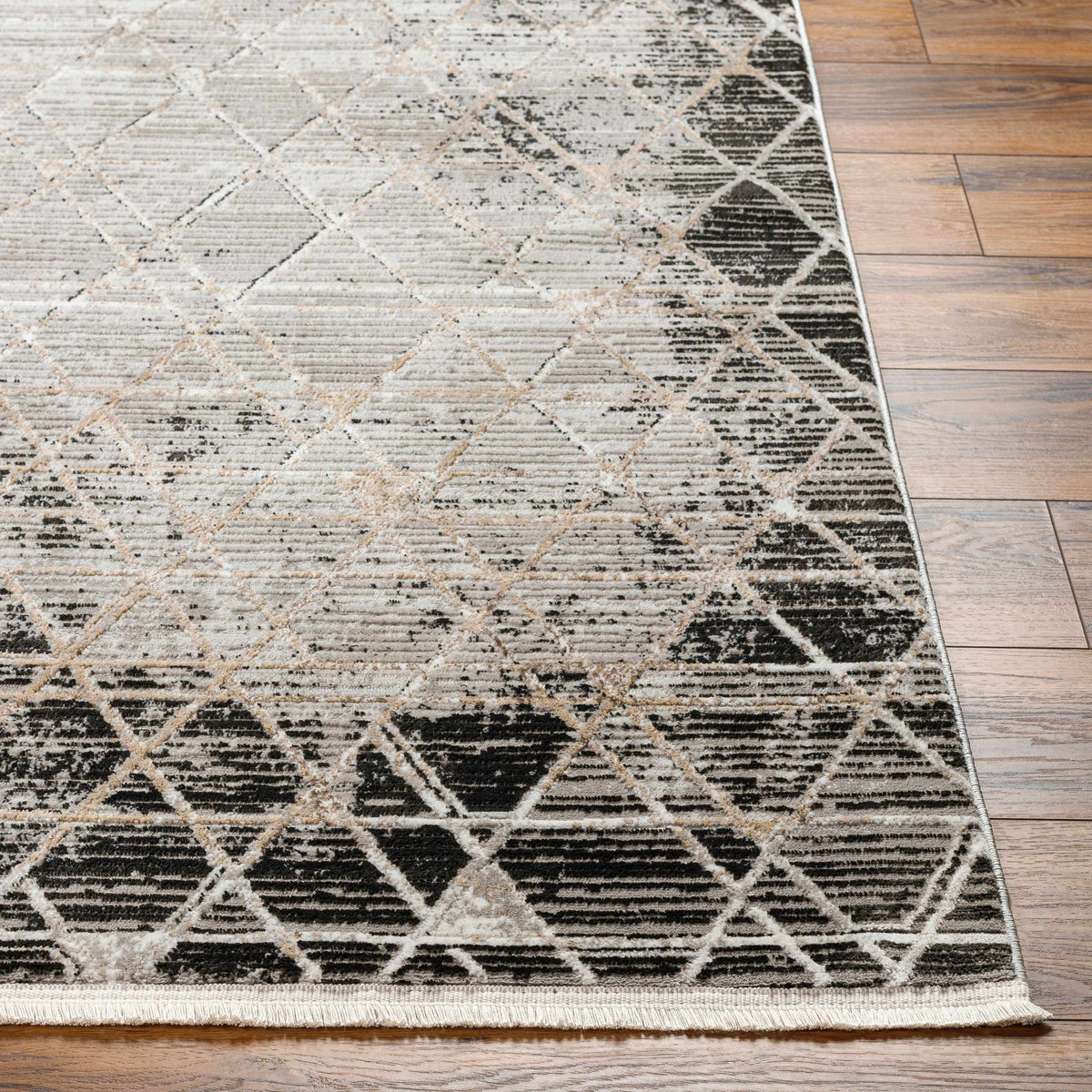 Gray Black 2' x 3' Area Rug Y56198