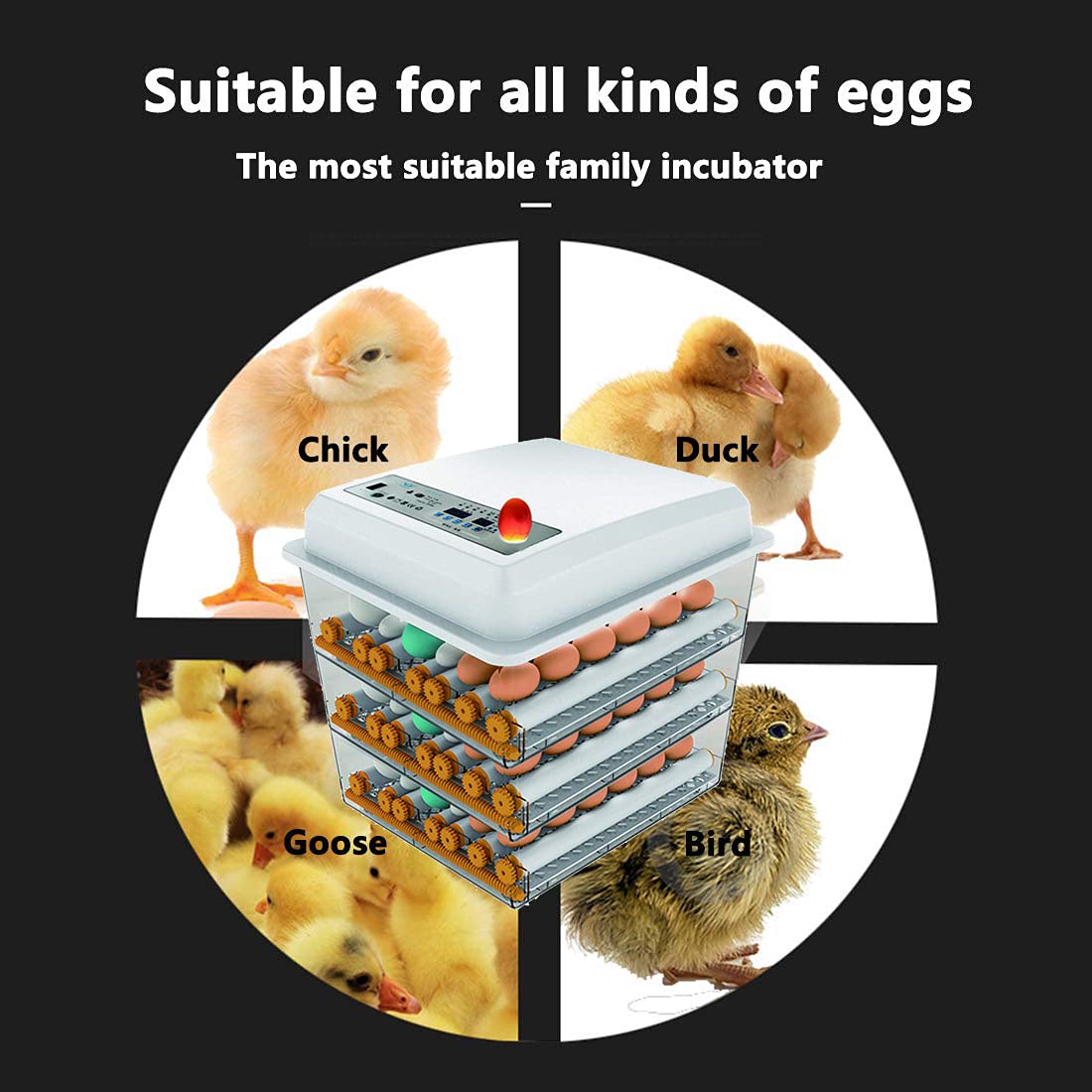 170 Egg Incubator with Automatic Egg Turning and Temperature Humidity Control V301