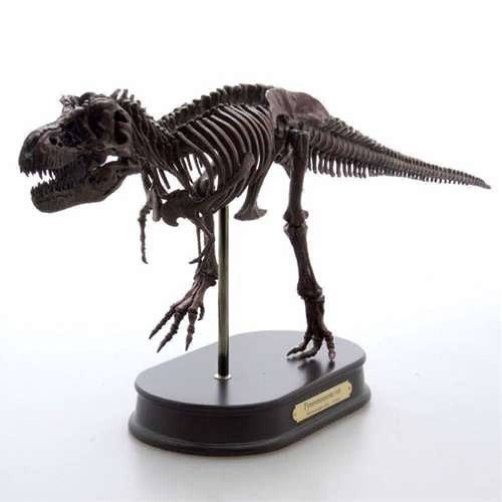 Tyrannosaurus Rex Dinosaur Figure Fossil Skeleton 1/20 Scale W5033