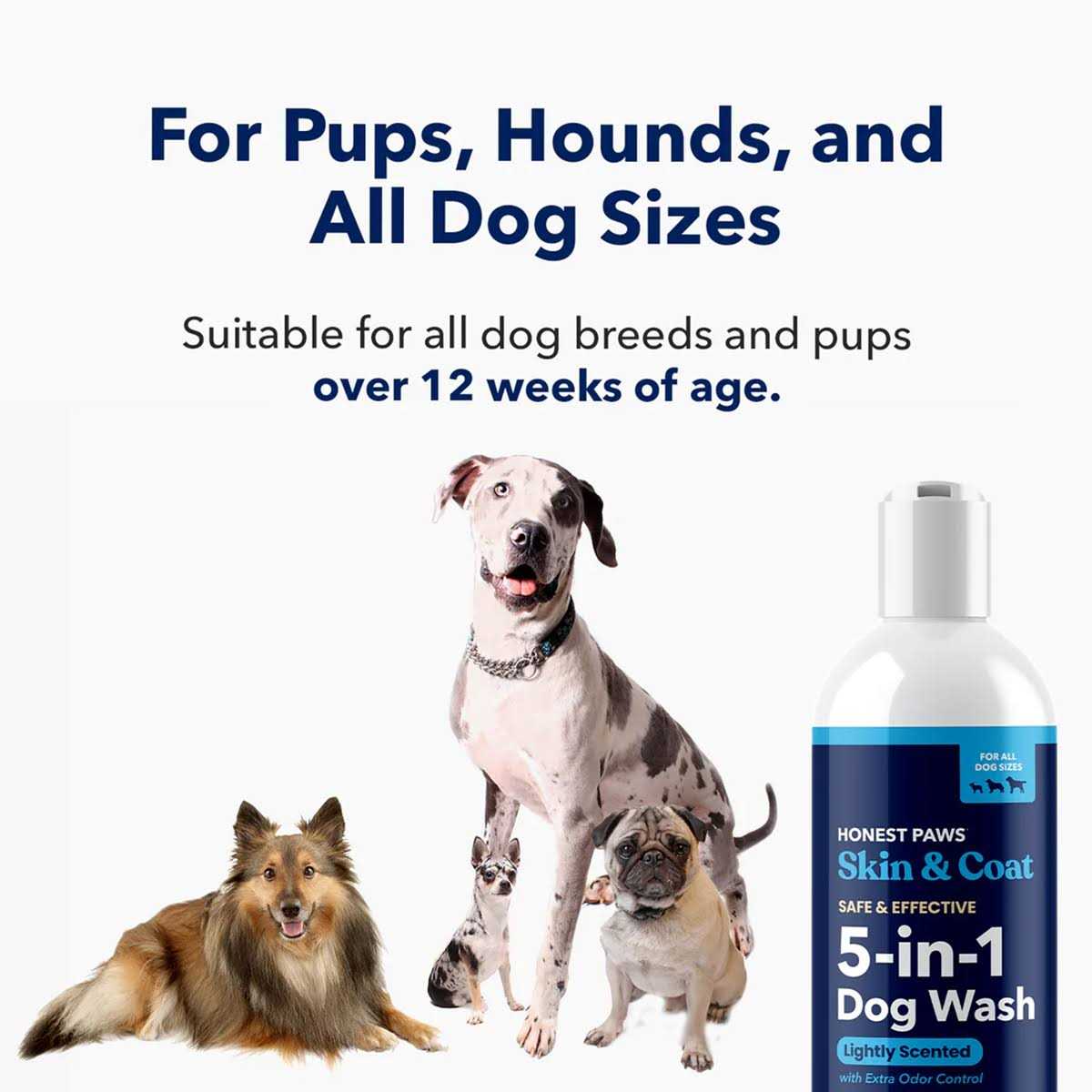 Dog Shampoo and Conditioner Y786