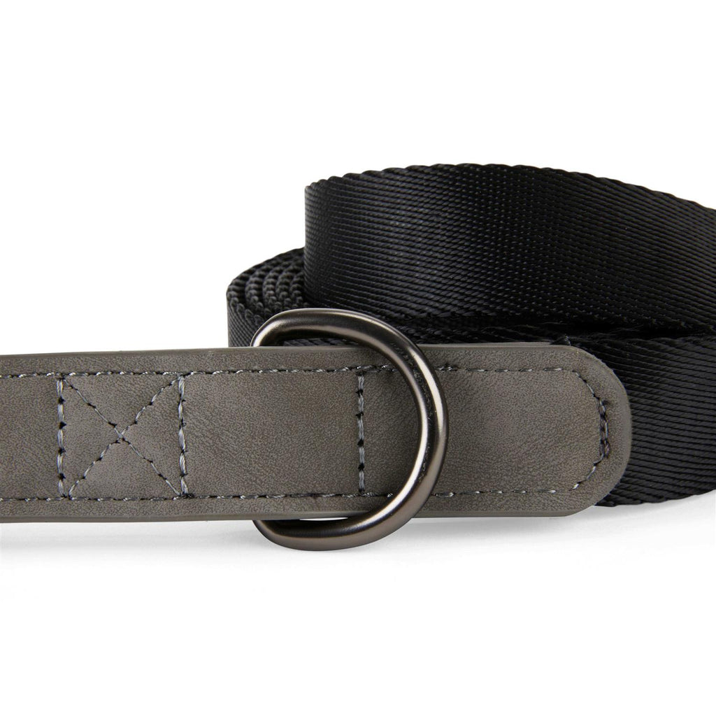 6' Dog Lead J48175