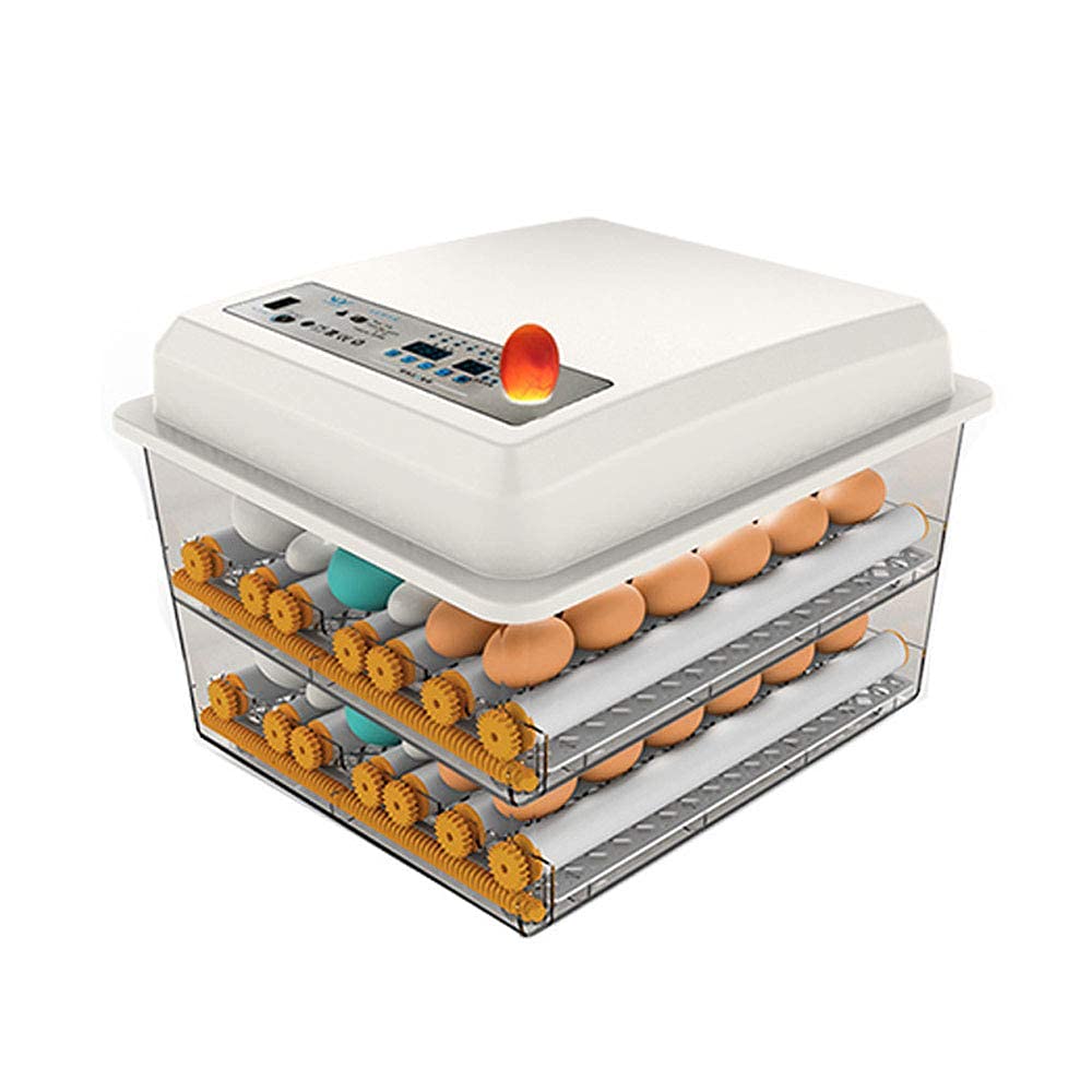 170 Egg Incubator with Automatic Egg Turning and Temperature Humidity Control V301