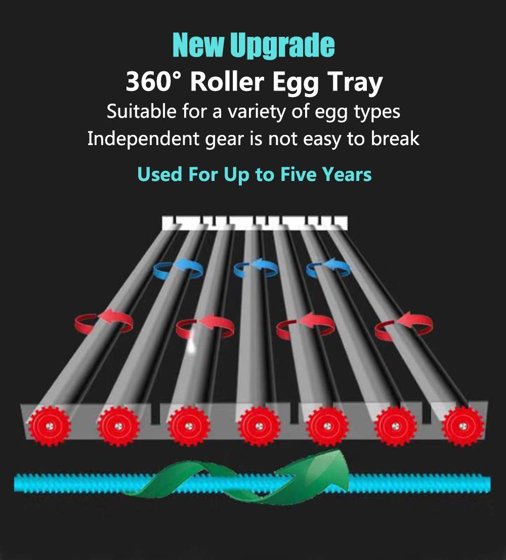 170 Egg Incubator with Automatic Egg Turning and Temperature Humidity Control V301