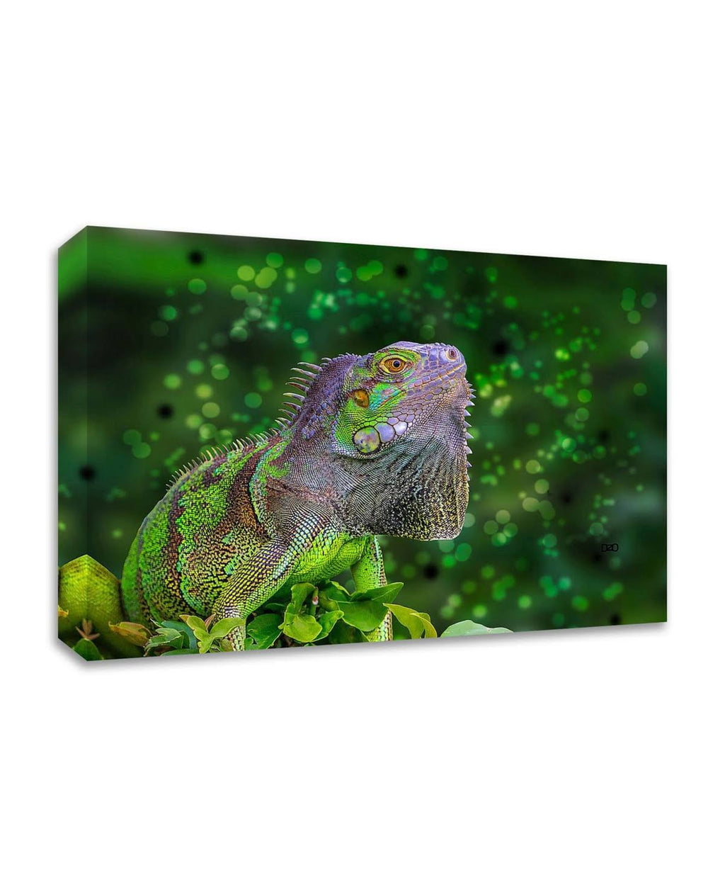 Green Iguana Print on Canvas R648
