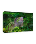 Green Iguana Print on Canvas R648