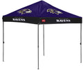 10x10 Straight-leg Tailgate Canopy N921