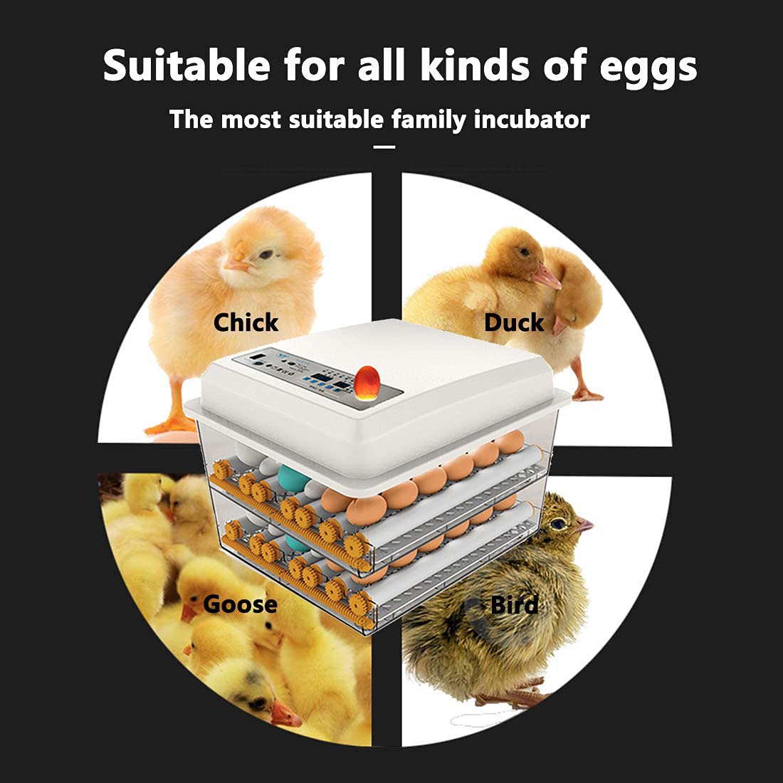 170 Egg Incubator with Automatic Egg Turning and Temperature Humidity Control V301