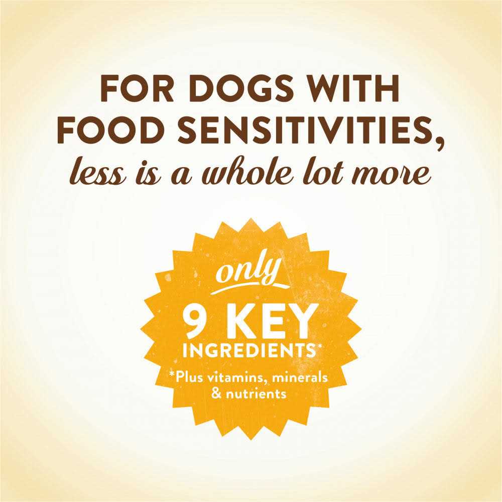 Chicken Recipe Dry Dog Food B455