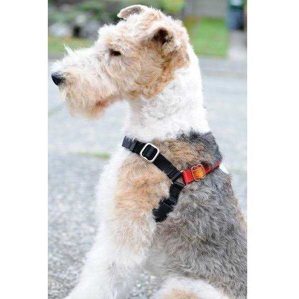 Dog Harness E716