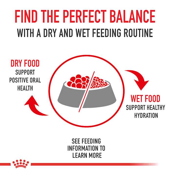 Wet Dog Food B9506