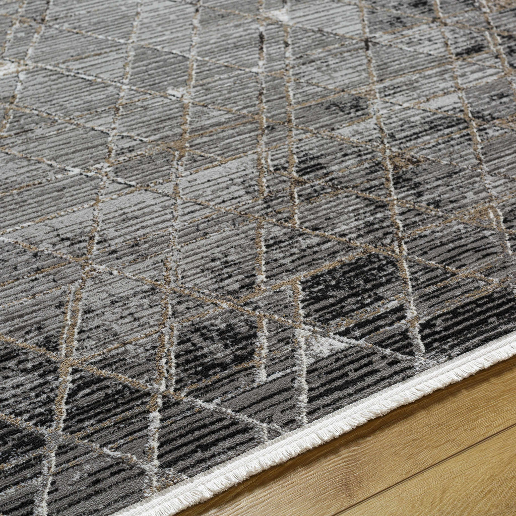 Gray Black 2' x 3' Area Rug Y56198