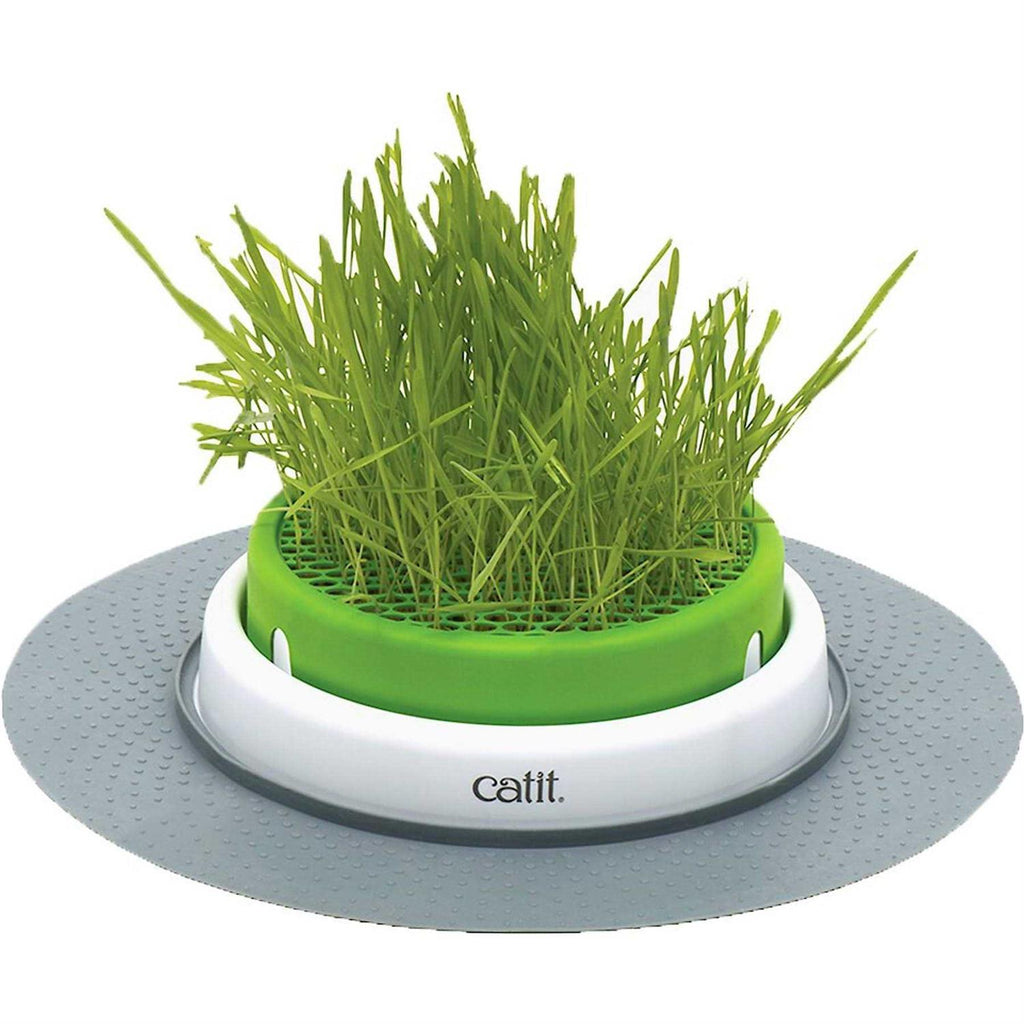 Grass Planter N94532