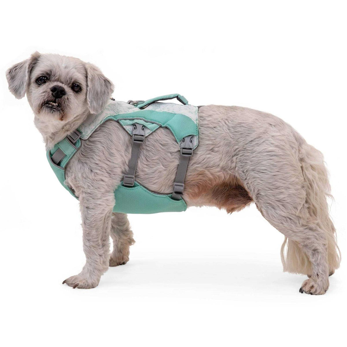 Dog Harness L7843