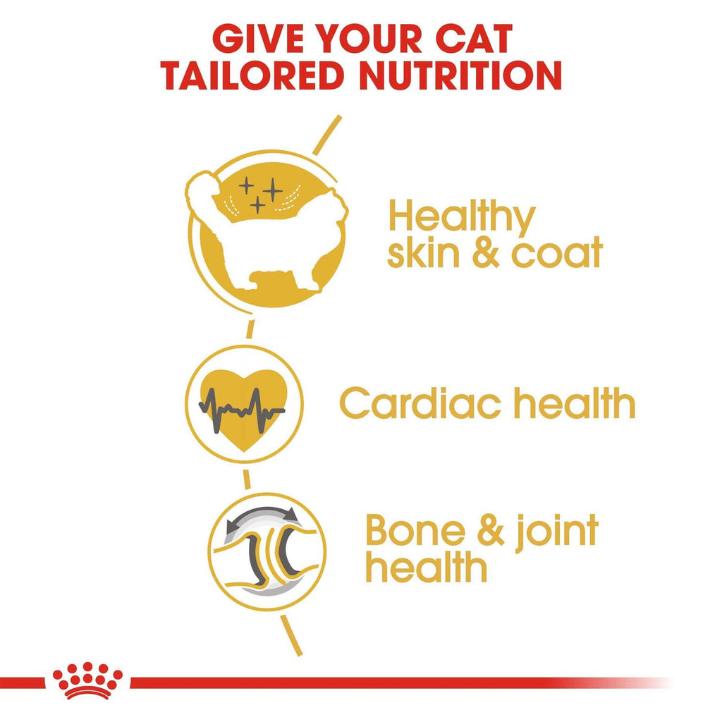 Ragdoll Adult Cat Food W653777