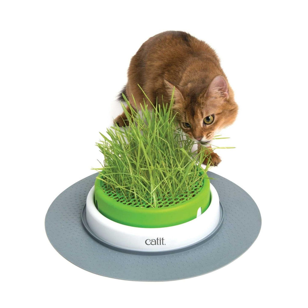 Grass Planter N94532