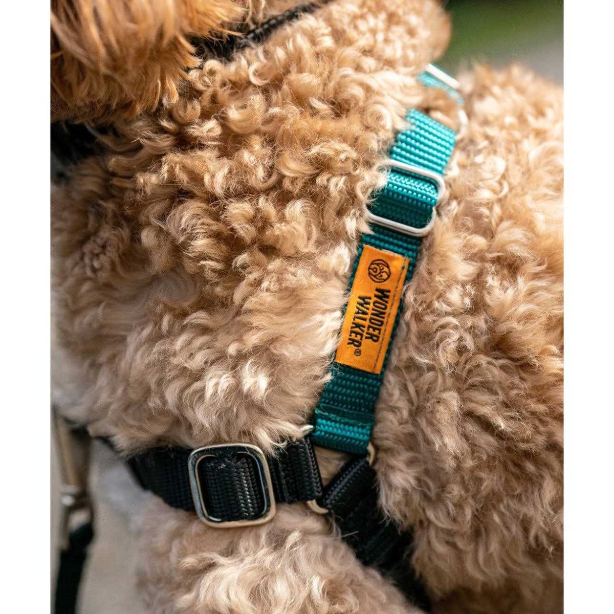 Dog Harness E716