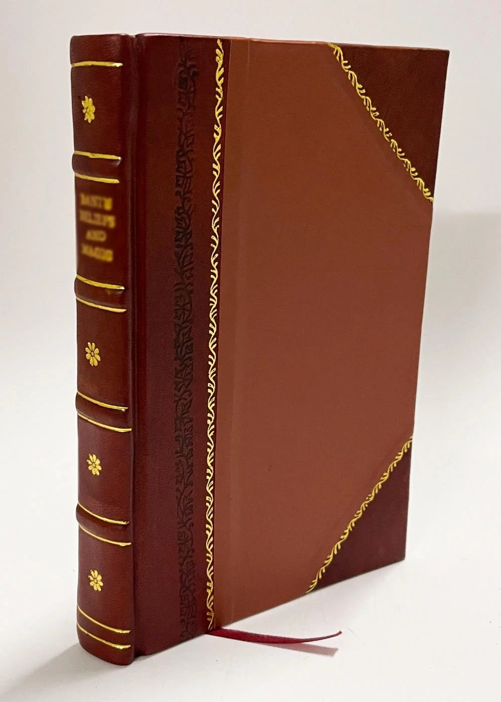 Leather Bound Book D68301
