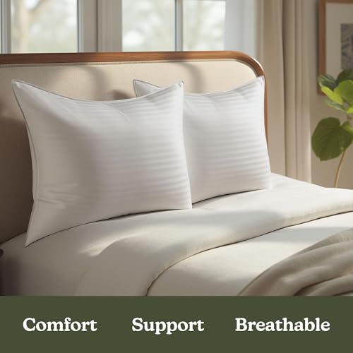Down Alternative Cotton King Size Set of 2 Bed Pillows D799