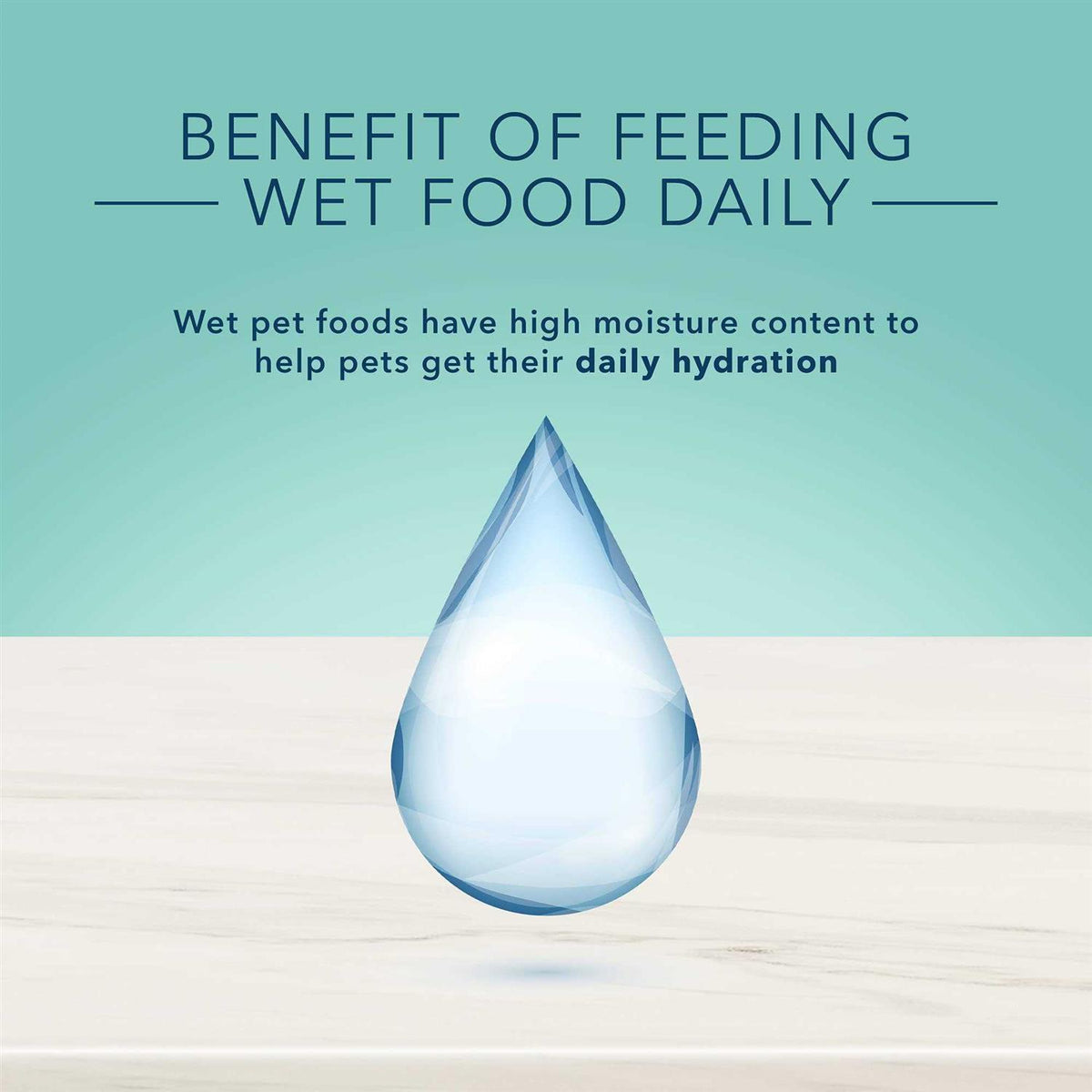 Natural Small Breed Adult Wet Dog Food Q980