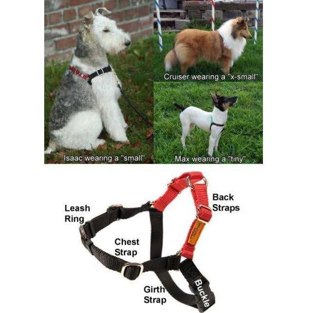 Dog Harness E716
