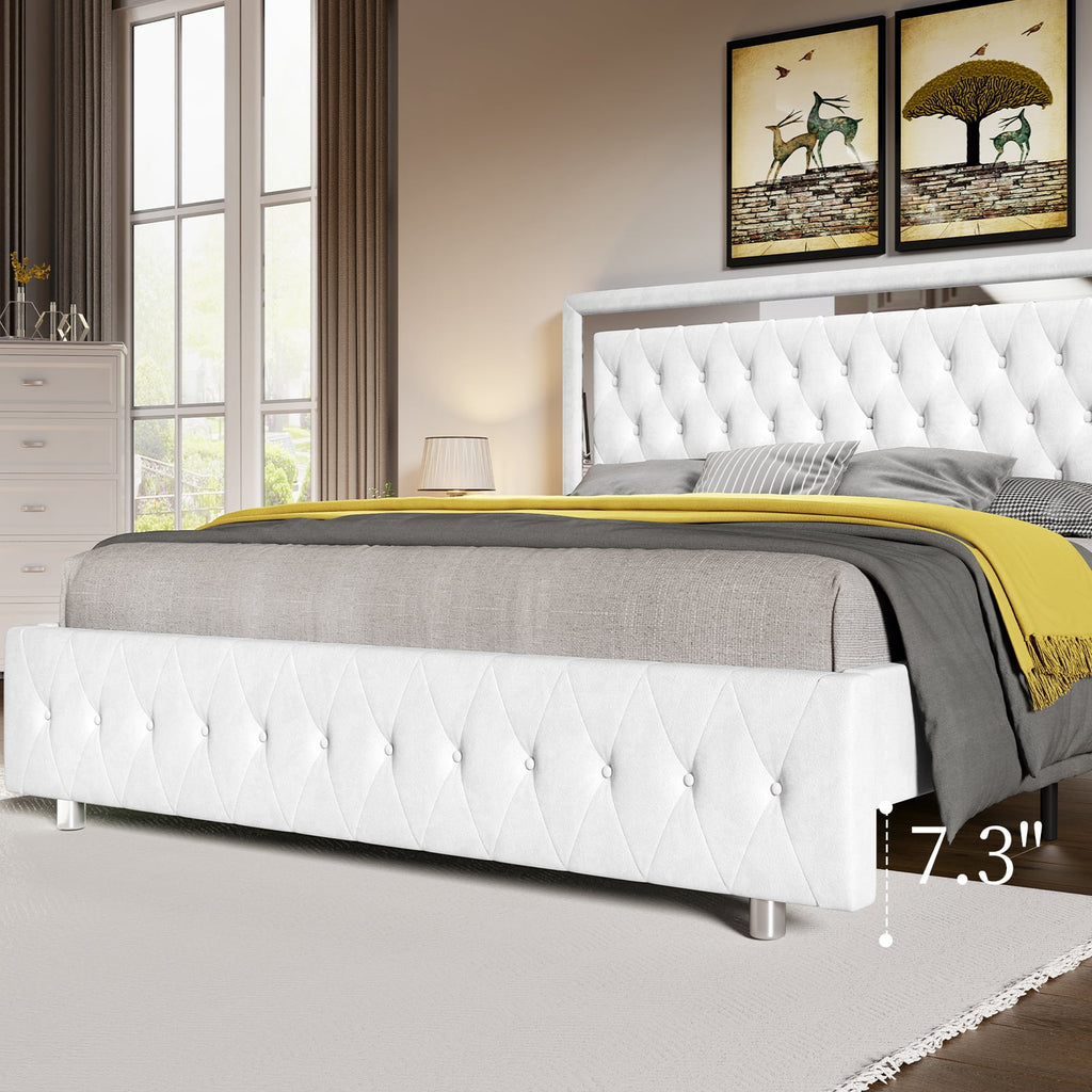 Queen Size Velvet Button Tufted LED Bed Frame F8297