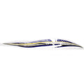 Waverunner Graphic J3573