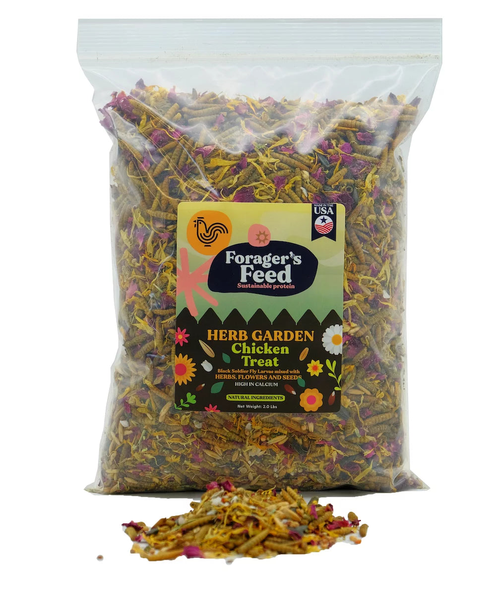 Black Soldier Fly Larvae with Herbs Flowers & Seeds 2 Lbs F195