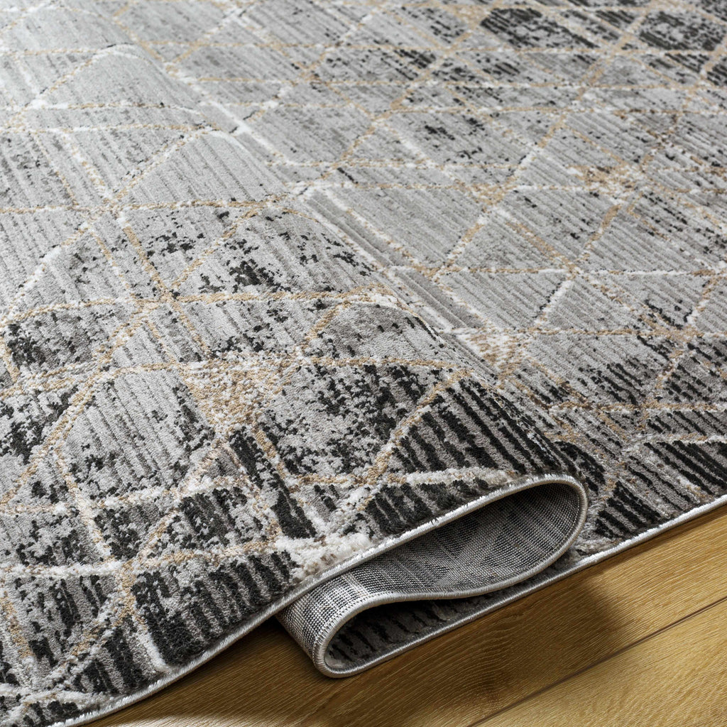 Gray Black 2' x 3' Area Rug Y56198
