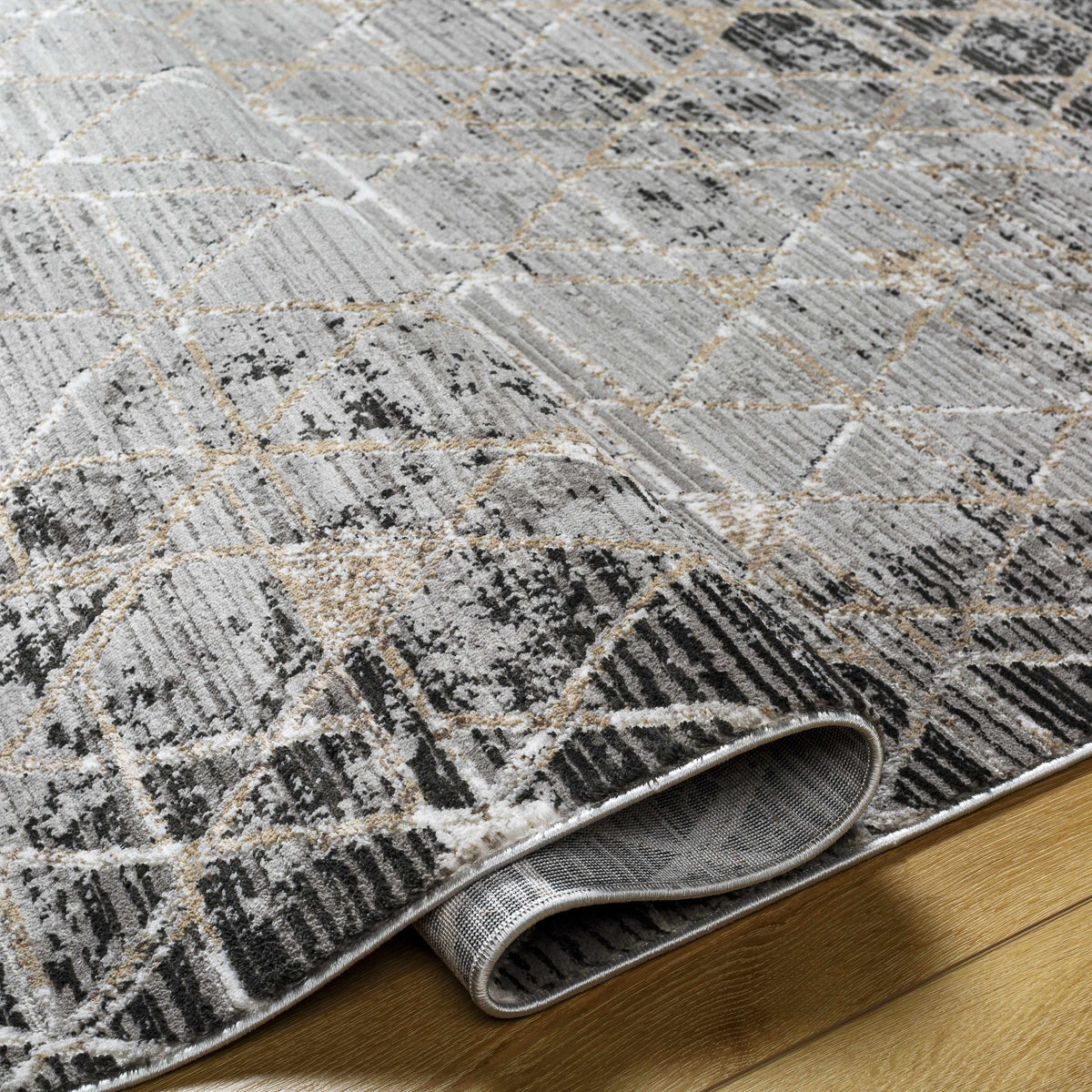 Gray Black 2' x 3' Area Rug Y56198