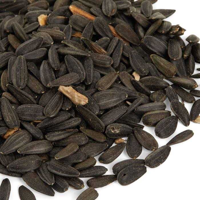 Black Oil Sunflower Seed Wild Bird Food O857