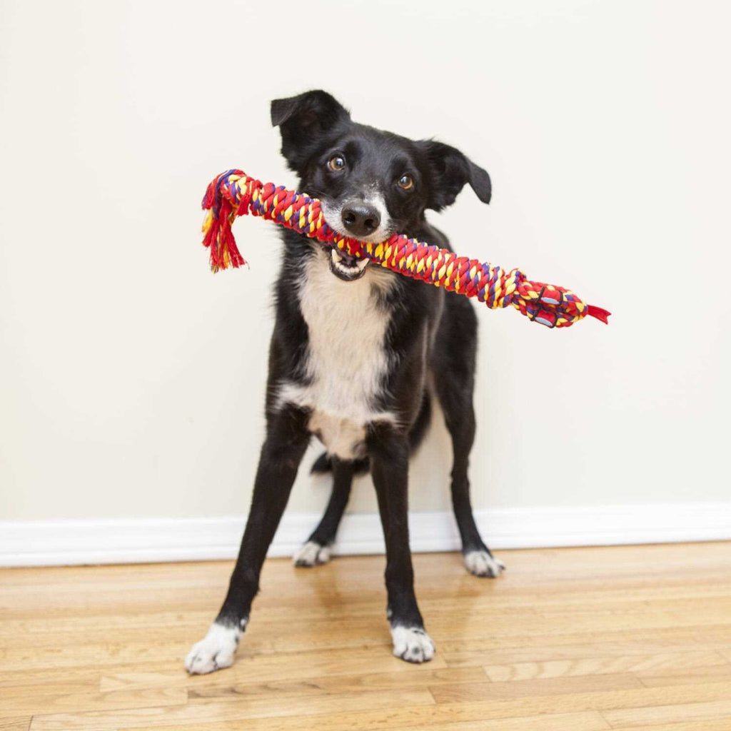 Dog Toy U446240