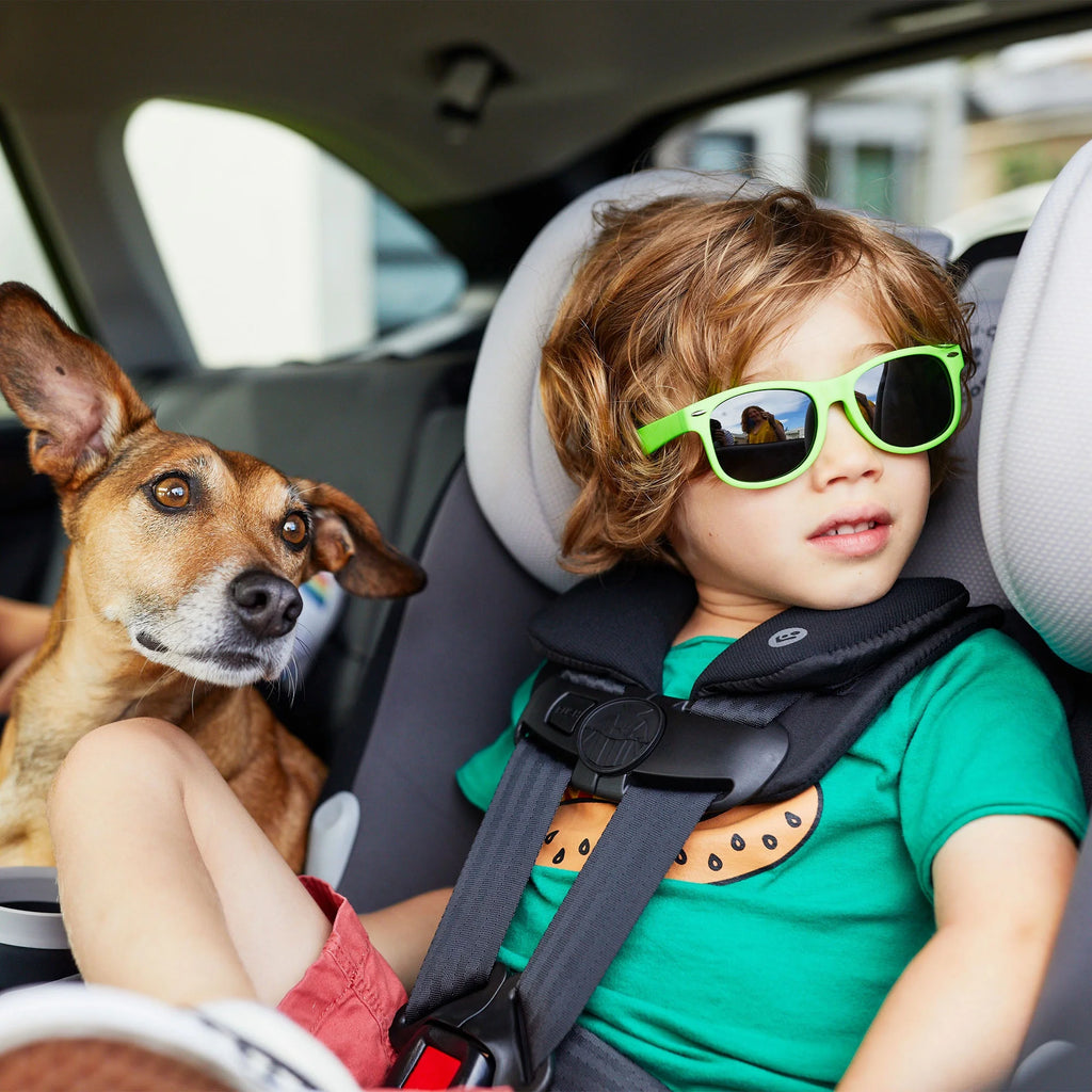 Convertible Car Seat W867
