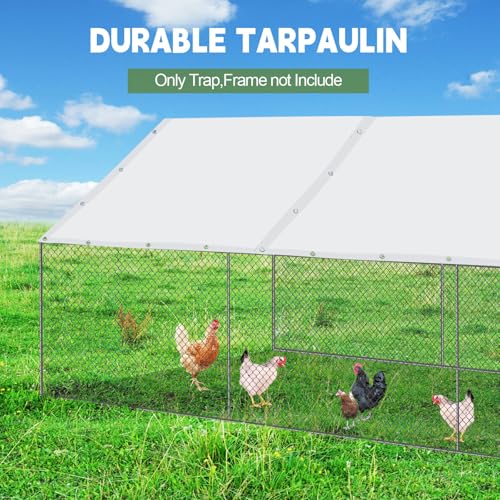 Waterproof 11.5 x 6.6 ft Chicken Coop Cover with 50 Pcs Ball Bungees Cords T7926