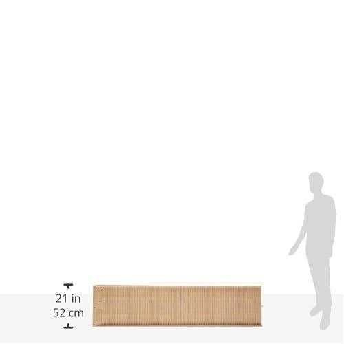 Folding Dog Ramp T449