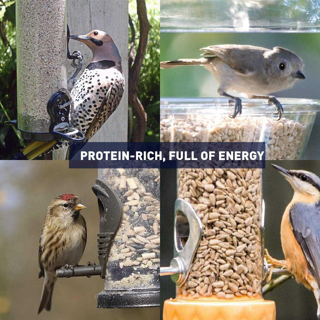 Sunflower Kernels Wild Bird Food 50 lb E112862