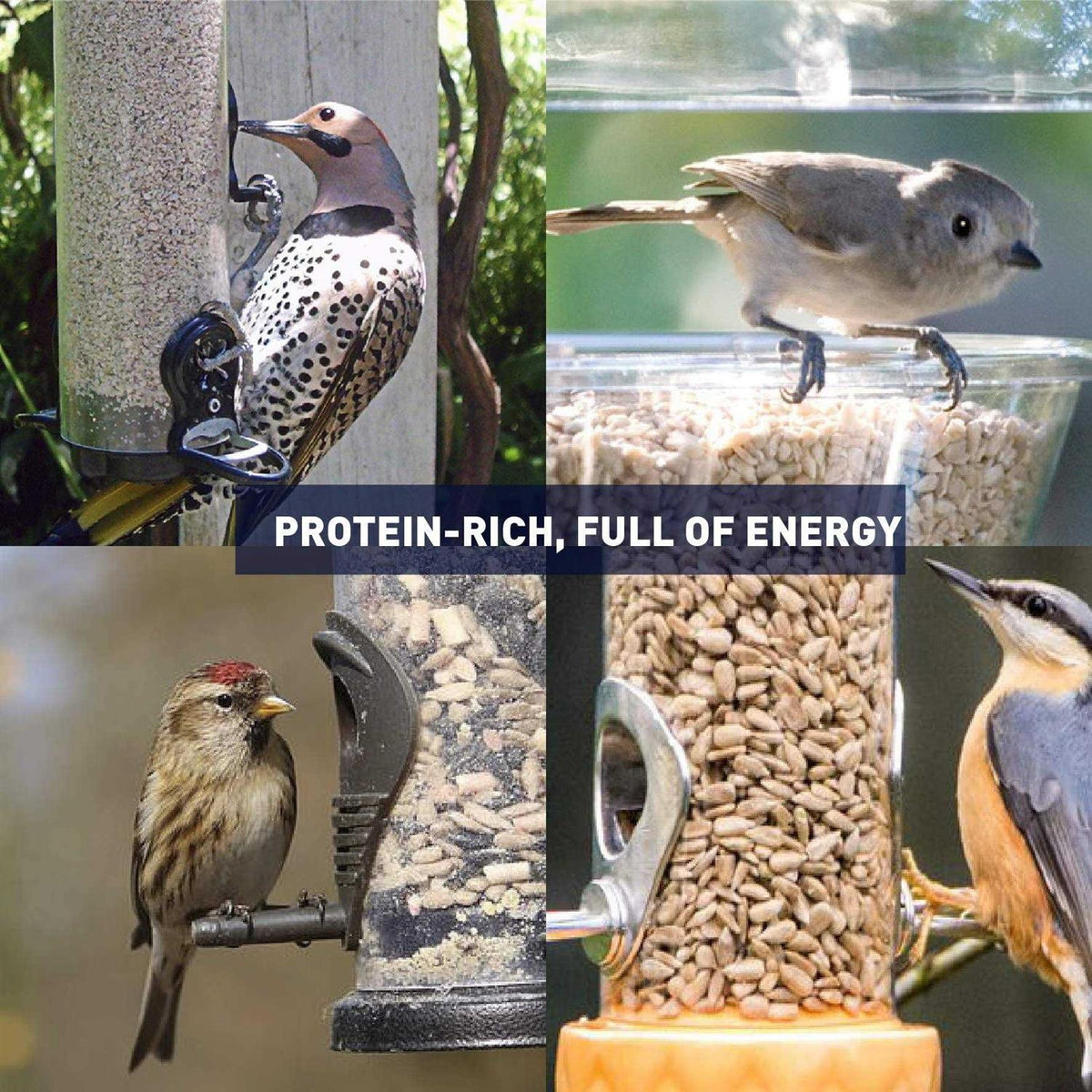 Sunflower Kernels Wild Bird Food 50 lb E112862