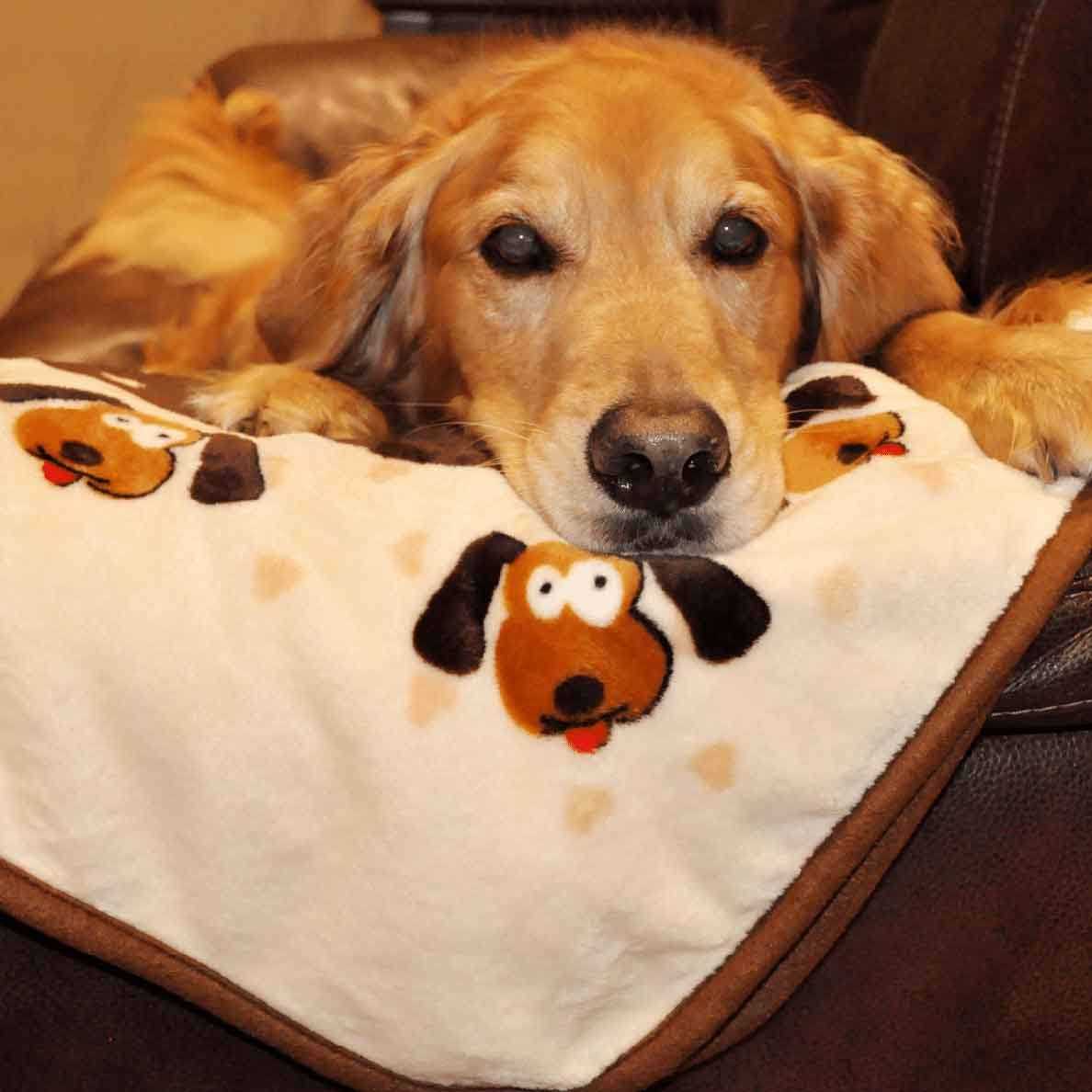 Blanket for Pets H820