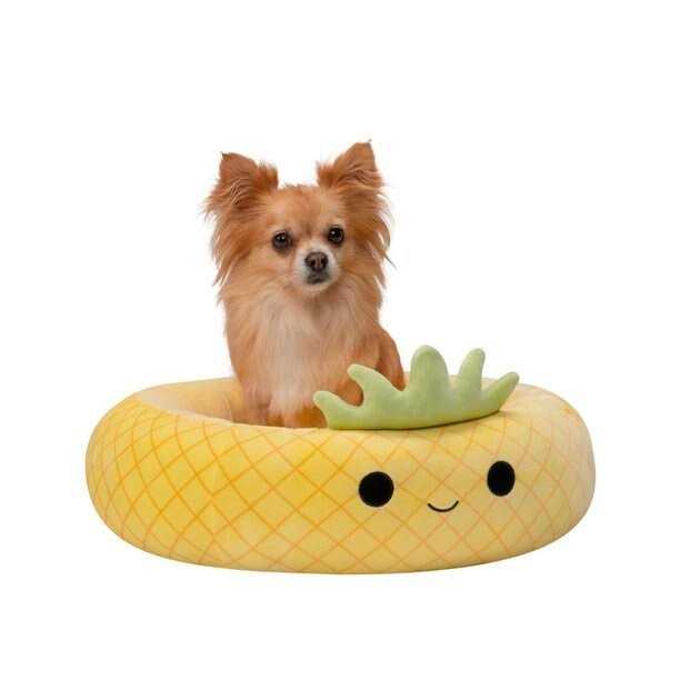 Pineapple Pet Bed H988182