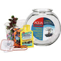Glass Fish Bowl with Starter Kit R3698