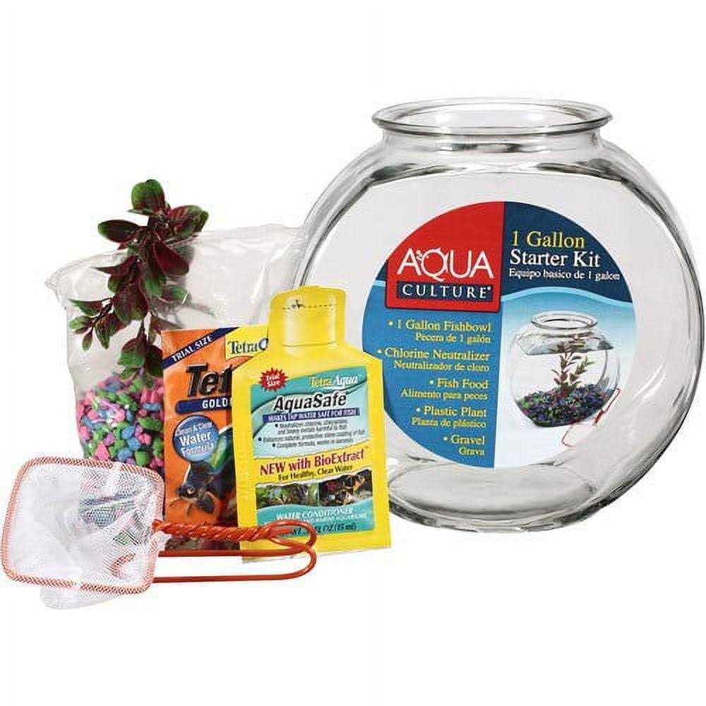 Glass Fish Bowl with Starter Kit R3698