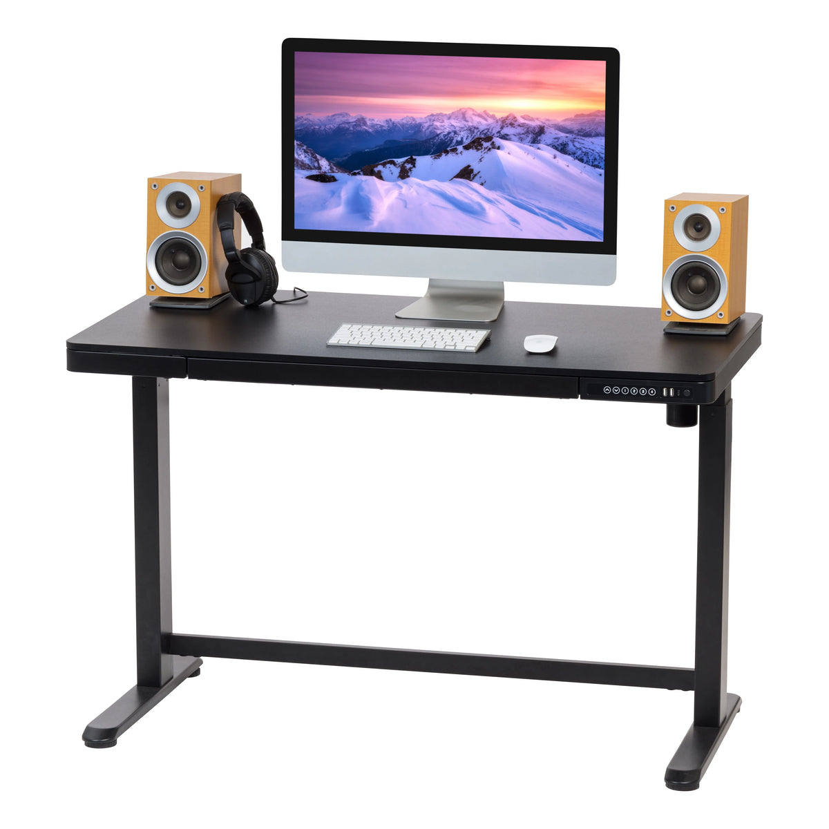 Electric Standing Desk Height Adjustable with USB Port N264161