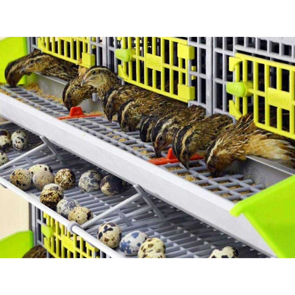 Indoor 3 Layer Stackable Quail Cage F390