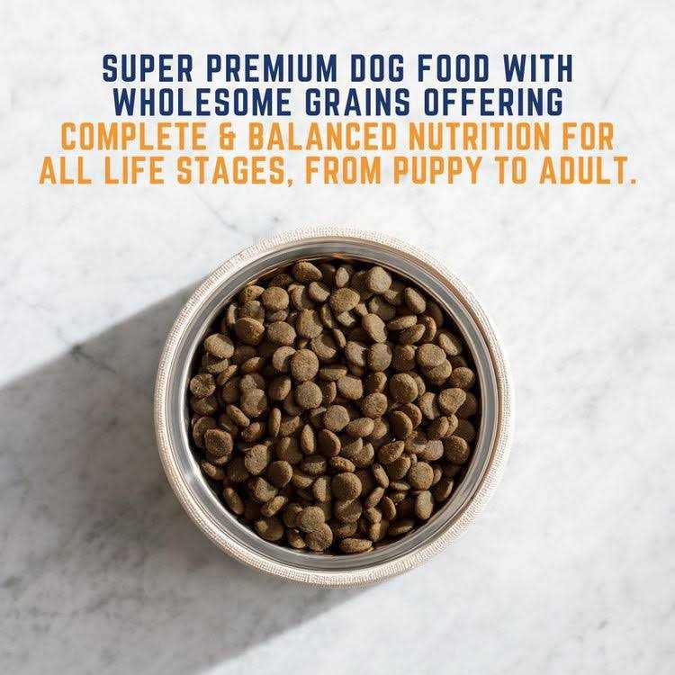 Chicken & Salmon Formula Wet Dog Food Q717