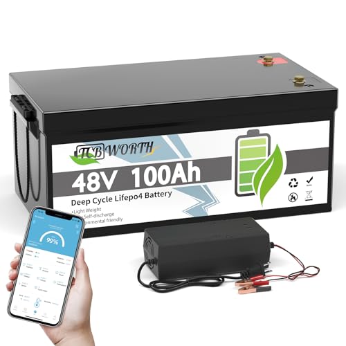 12V 100Ah LiFePO4 Deep Cycle Lithium Battery A965