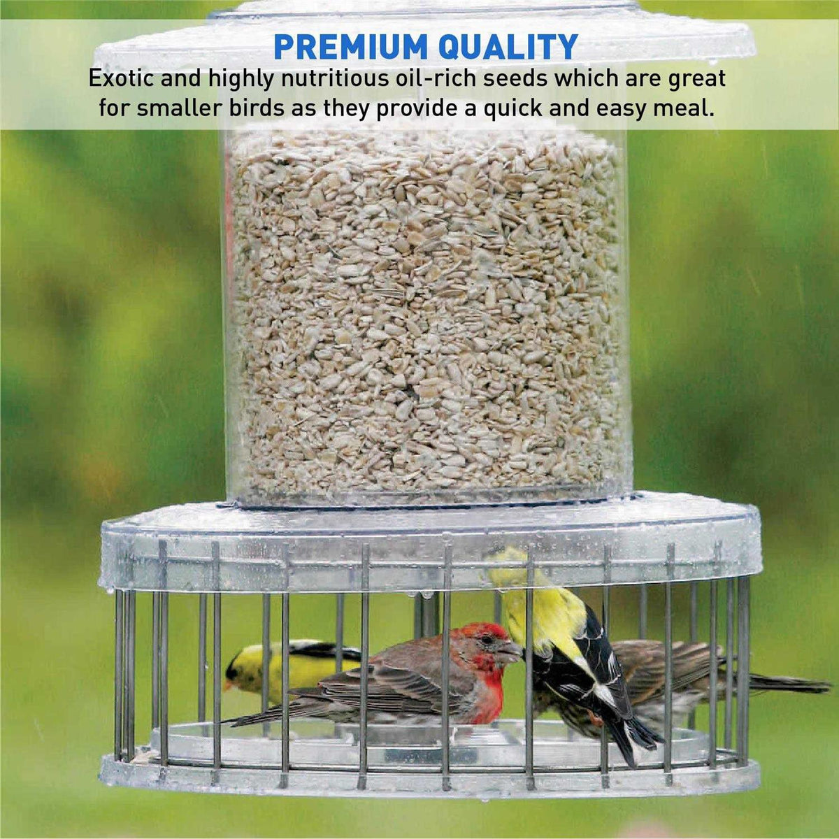Sunflower Kernels Wild Bird Food 50 lb E112862