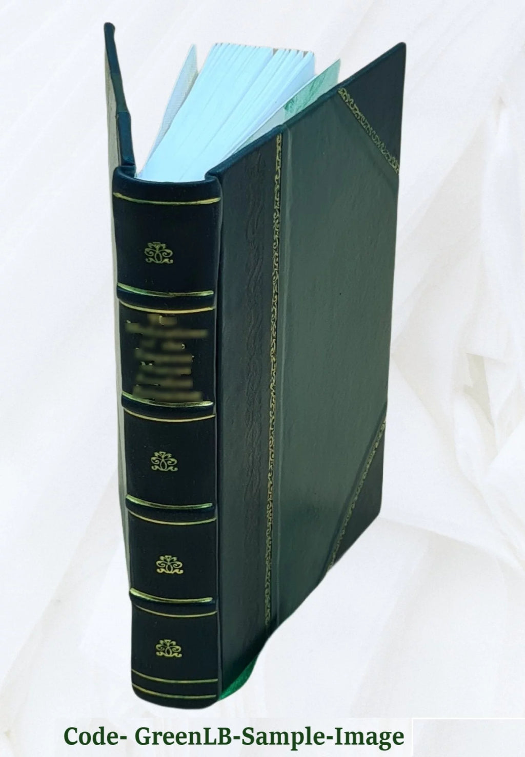 Leather Bound D238615