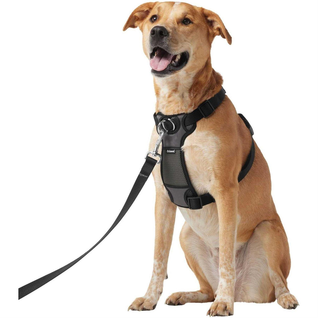 Padded Nylon No Pull Dog Harness D211498