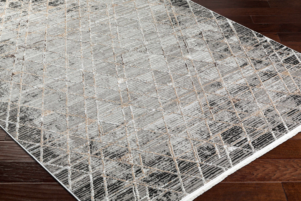 Gray Black 2' x 3' Area Rug Y56198