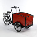 Electric Cargo Bike O20648